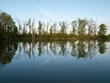 Soir sur l'etang