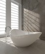 Modern Luxury Bathroom Design Interior