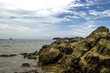Seascape with rocky coast