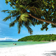 Tropical beach, square composition.