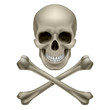Vector: Skull and crossbones Skull and crossbones