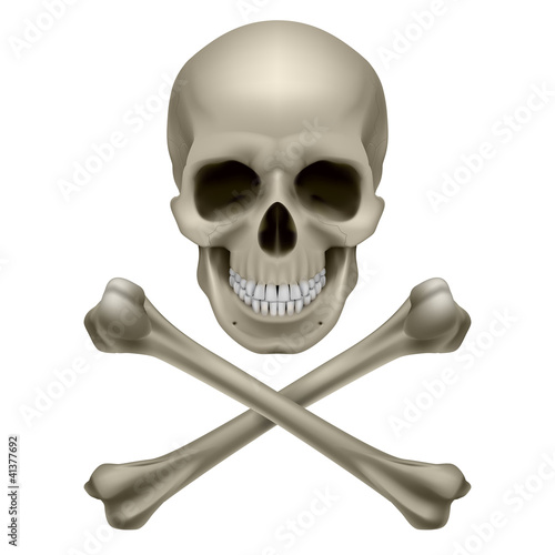 Vector: Skull and crossbones Skull and crossbones