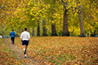 Jogger in park during Autumn