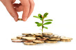 Make money concept. Make money concept.