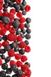 himbeeren und heidelbeeren
