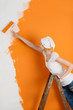 frau streicht eine wand frau streicht eine wand