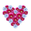 Blütenherz Kornblumen - Pfingstrosen