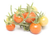 ripe tomato brunch isolated on white background ripe tomato brunch isolated on white background