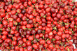Kirschen