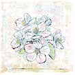 sketch of apple tree in bloom