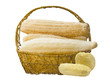 Lloofah for spa isolated