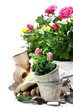 garden tools