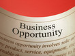 Business Opportunity (Newspaper Headline)