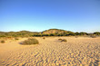 Dunes and sand Dunes and sand