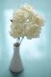 elegant bouquet of white roses in vase on turquoise background
