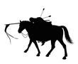 Dead horseman with arrows in back