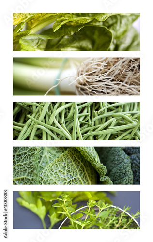 Photo: Bannière, fond, légume, site, bandeau, texture, vert Bannière, fond, légume, site, bandeau, texture, vert