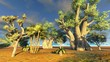 African baobabs