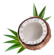 Coconut