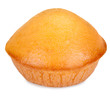 tasty cake isolated