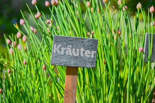 Foto: Kräuter Schnittlauch Schild Kräuter Schnittlauch Schild