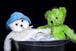 Closeup Teddy Bears in Wash Tub