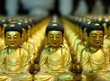 Buddha Armee