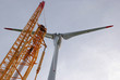 Eolienne et grue