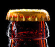 Foto: Top of wet beer bottle Top of wet beer bottle