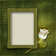 Vintage background with frame and rose