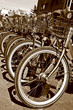 Sepia row of bicycle front tires