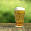 Illustration: Fresh beer Fresh beer