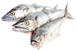 Raw fish