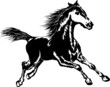 Black horse Black horse