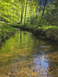 stream in springtime