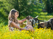 Happy and attractive teen girl playing with dogs in green field