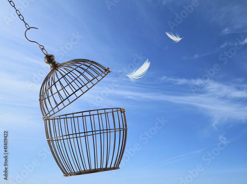 Foto: Freedom concept. Escaping from the cage Freedom concept. Escaping from the cage