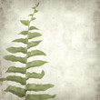textured old paper background textured old paper background