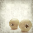textured old paper background textured old paper background