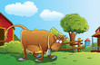 canvas print picture - Farm Background