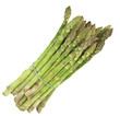 green raw asparagus - vegetable green raw asparagus - vegetable