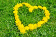 Herz Blumen