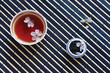 Cup of tea, jar of tea leaves and cherry blossoms