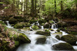 Bachlauf im Wald
