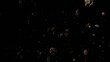 asteroid_3d_loopable