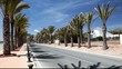 Palm trees alley in La Azohia, Spain Palm trees alley in La Azohia, Spain