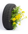 wheel with flowers