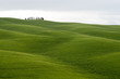 Campagne toscane