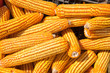 The Dried corn