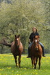 Wanderritt im Frühling
